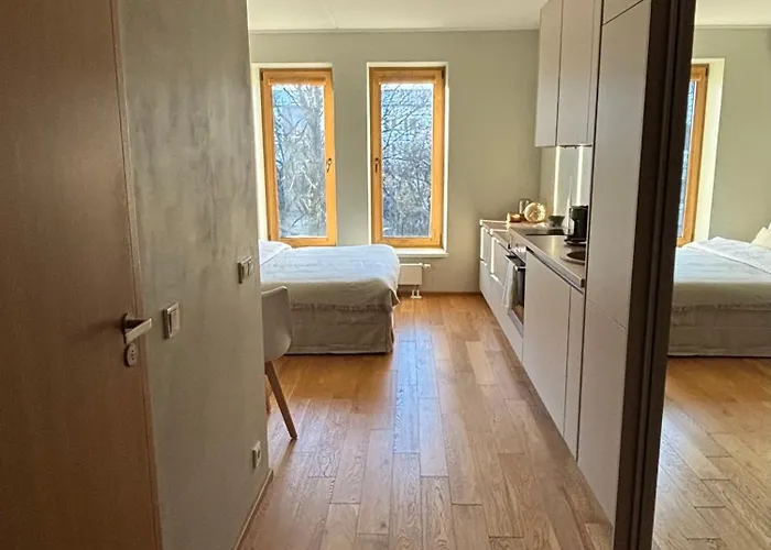 The Parkview 公寓 *